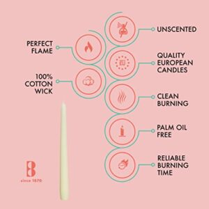 BOLSIUS Ivory Taper Candles - 10 Pack Unscented 10 Inch Dinner Candle Set - 8 Hours Burn Time - Premium European Quality - Smokeless and Dripless Household, Wedding, Party, and Home Décor Candlesticks