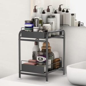 Under Sink Organizers and Storage, Stainless Steel 2-Tier Bathroom Organizer Counter, Kitchen Sink Organizers, Spice Rack, Organizers and Storage for Bedroom, Kitchen,Bathroom.