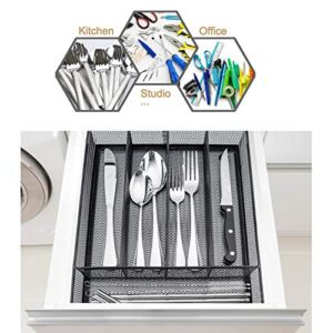 HaWare Silverware Drawer Organizer (12.5 x 9.2Inch), Stainless Steel Sturdy 5 Compartment Flatware Tray Holder Storage Small Utensils Items for Kitchen Office School(Black)