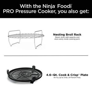 Ninja FD302 Foodi 11-in-1 Pro 6.5 qt. Pressure Cooker & Air Fryer that Steams, Slow Cooks, Sears, Sautés, Dehydrates & More, with 4.6 qt. Crisper Plate, Nesting Broil Rack & Recipe Book, Silver/Black