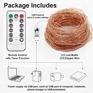 Twinkle Star 200 LED 66 FT Copper String Lights Fairy String Lights 8 Modes LED String Lights USB Powered with Remote Control for Christmas Tree Wedding Party Home Decoration, Warm White