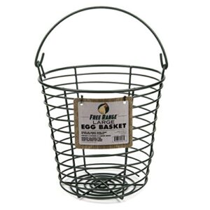 harris farms coated wire egg basket, large