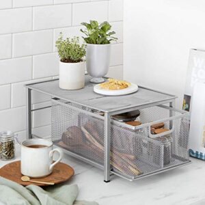 Amazon Basics Mesh Sliding Basket Drawer Storage Shelf Organizer, Silver