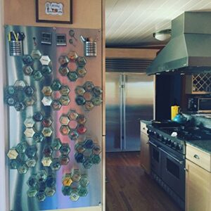 Gneiss Spice Magnetic Spice Jars | Create a Hanging Spice Rack on Your Fridge | Includes Large Empty Glass Jars, Magnetic Metal Lids and Spice Labels