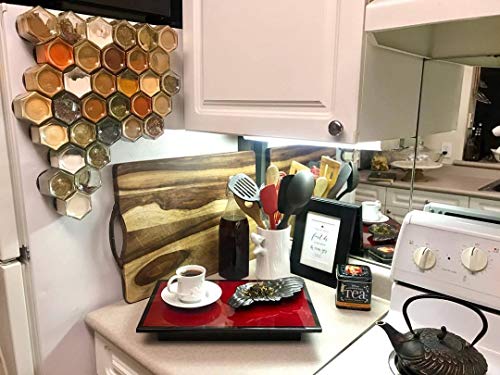 Gneiss Spice Magnetic Spice Jars | Create a Hanging Spice Rack on Your Fridge | Includes Large Empty Glass Jars, Magnetic Metal Lids and Spice Labels