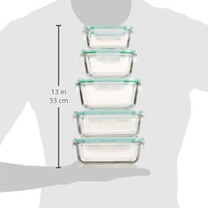 EATNEAT 5-Pack of Glass Food Storage Containers with Airtight Snap Locking Lids to Keep Food Fresh - Oven to Table to Freezer | BPA-FREE