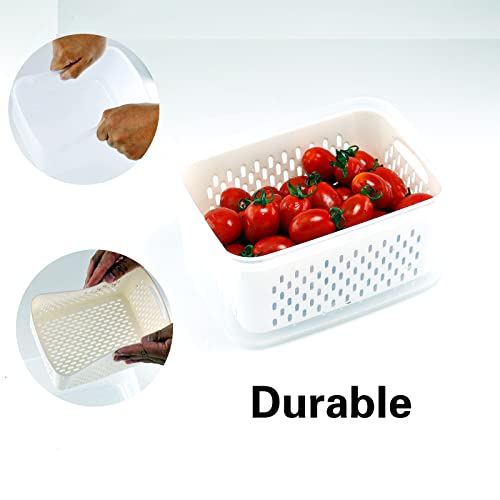 5 PCS Large Fruit Containers for Fridge - Leakproof Food Storage Containers with Removable Colander - Dishwasher & microwave safe Produce Containers Keep Fruits, Vegetables, Berry, Meat Fresh longer