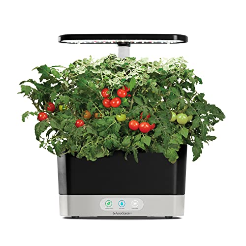 AeroGarden Red Heirloom Cherry Tomato Seed Pod Kit for AeroGarden Hydroponic Indoor Garden, 6-Pod