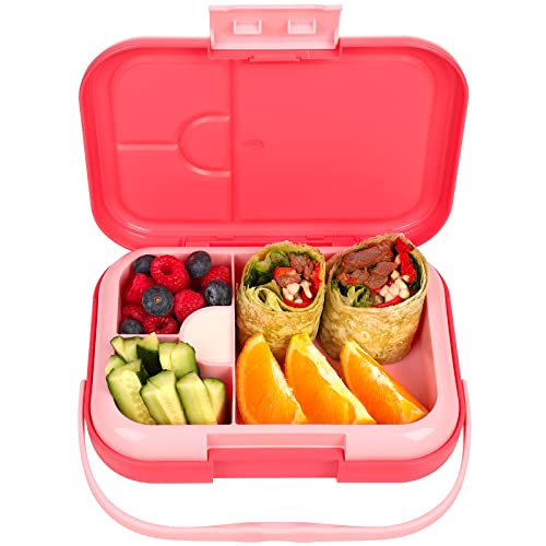 havinoo Bento Lunch Box for Kids, Girls, Boys, Toddlers, 3.7 Cups 4 Compartments Lunch Containers, Ideal Kids Lunch Box for Children, Microwave, Dishwasher, Freezer Safe, Leak-Proof, BPA-Free Pink