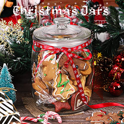 Folinstall Wide Mouth Apothecary Jar with Lid, 0.5 Gallon Glass Jar for Kitchen Storage and Laundry Room Organization, 72 oz Clear Glass Container for Cookie, Candy, Sugar, Flour, Nuts