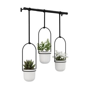 umbra triflora hanging planter for window, indoor herb garden, white/black, triple