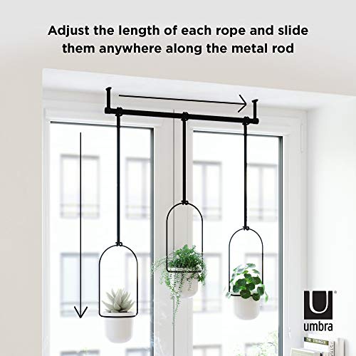 Umbra Triflora Hanging Planter for Window, Indoor Herb Garden, White/Black, Triple