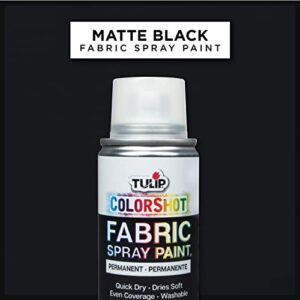 Tulip ColorShot Instant Fabric Color 3oz. Black