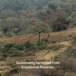 Luna Sundara Palo Santo Smudging Sticks High Resin Palo Santo from Ecuador - Wild Harvested Smudging Sticks
