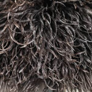 ROYAL DUSTER Black Ostrich Feather Duster (14")