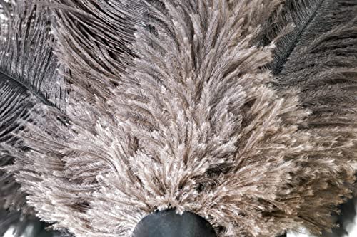 ROYAL DUSTER Black Ostrich Feather Duster (14")