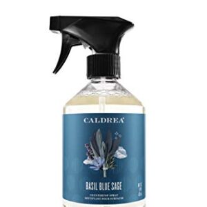 Caldrea Multi-surface CounterTop Spray Cleaner, Made With Vegetable Protein Extract, Basil Blue Sage, 16 Fl Oz