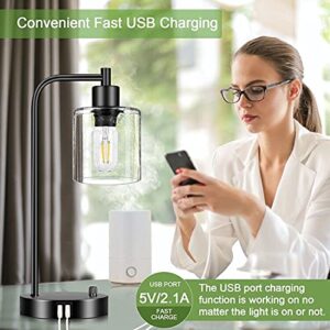 Set of 2 Industrial Table Lamps with 2 USB Port, Fully Stepless Dimmable Lamps for bedrooms, Bedside Nightstand Desk Lamps with Seeded Glass Shade for Reading Living Room Office 2 LED Bulb Included