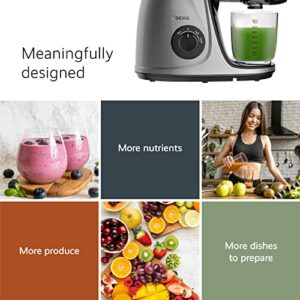 Jocuu Slow Masticating Juicer with 2-Speed Modes - Cold Press Juicer Machine - Quiet Motor & Reverse Function - Easy to Clean Juicer Extractor - Juice Recipes for Fruits & Vegetables (Grey)