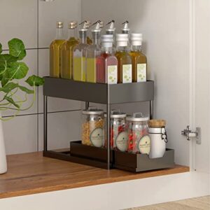 EWQKPEL 2 Tier Under Sink Organizers and Storage, Sliding Drawer Bathroom Kitchen Sink Organizer with 4 Hooks 2 Handles, Multi-purpose Under Cabinet Shelf, Bath Collection Basket