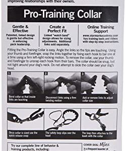 Starmark Pro-Training Dog Collar Large