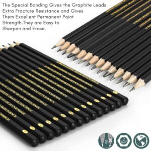 Drawing Pencils Set of 14 (B - 12B) Sketching Pencils for Drawing, Shading & Doodling | Professional Sketch Pencils Graphite Grades for Artists & Beginners