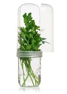 the herb angel mason jar herb lid – fresh herb keeper – herb saver pod for cilantro, parsley, basil, chives, mint and more – herb storage container for refrigerator