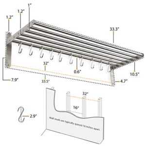 Wallniture Lyon Kitchen Organization and Storage Rack, Stainless Steel Metal Wall Shelf with 10 S Hooks for Hanging Pots and Pans, Chrome