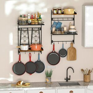 Zitaloken Hanging Pots and Pans Organizer, 2 Packs Adjustable Kitchen Shelves Wall Mounted, Pot Lid Holder Cookware & Cutting Board Storage Rack with 18 Hooks,Matte Black