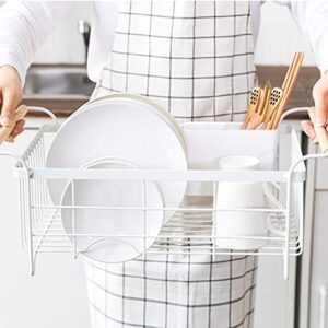 BRIAN & DANY Kitchen Dish Drainer, Large Drying Rack with Full-Mesh Storage Basket, Wooden Handle, Removable Plastic Cutlery Tray, 18.8" x 11.6" x 7.6"