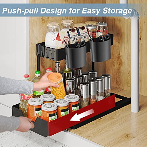 Under Sink Organizer-1 Pack, Kitchen Organization, Cabinet Organizer with 2 Cups and 4 Hooks, Bathroom Organizer