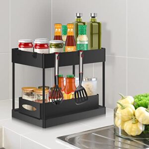 EuroBird Under Sink Organizer and Storage, 2-Tier Under Bathroom Cabinet Storage Sliding Drawer with 4 Hooks, Multi-purpose Under Sink Storage Shelf Rack for Bathroom Kitchen