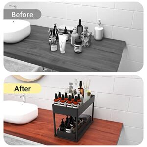 Way2Furn Under Sink Organizers and Storage, 2 Tier Kitchen Under Sink Cabinet Organizer, Under Sink Shelf Organizer with Hooks and Hanging Cups for Cabinet, Countertop, Bathroom, Kitchen, 2 Pack