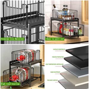 furihshe Under Sink Organizer, under sink organizers and storage,2 Tier Storage Under Cabinet Bathroom under kitchen sink organizers and storage Black Under Sink Storage for Bathroom Kitchen