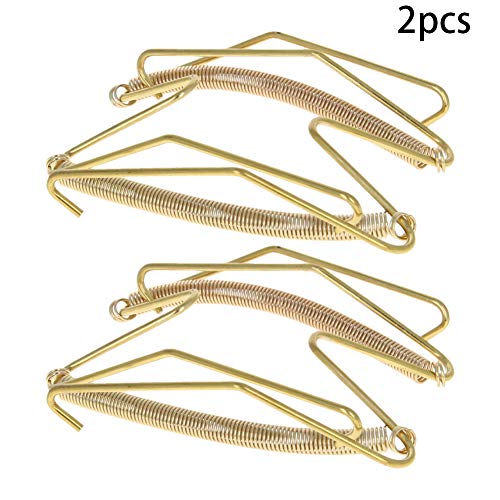 Bettomshin 2PCS Plate Hanger 10" W Type Stainless Steel Plate Hangers Invisible Wall Hooks for Walls Compatible Decorative Plates Hooks Dish Diaplay Holder Golden