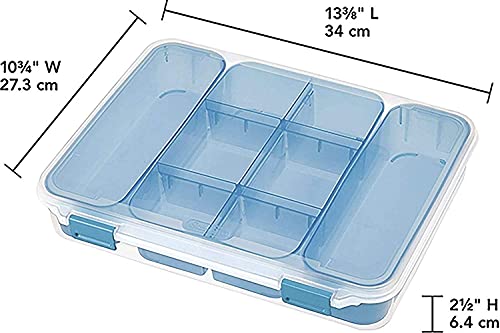 Sterilite 14028606 Divided Storage Case, Capacity: 10 lb /4.5 kg, Blue