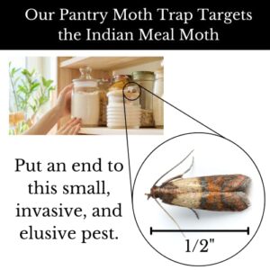 Dr. Killigan's Premium Pantry Moth Traps with Pheromones Prime | Non-Toxic Sticky Glue Trap for Food and Cupboard Moths in Your Kitchen | How to Get Rid of Moths | Organic (6, Black)