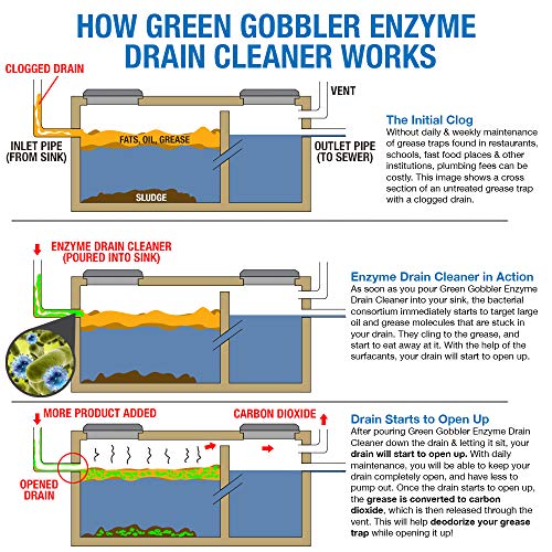 Green Gobbler ENZYMES for Grease Trap & Sewer - Controls Foul Odors & Breaks Down Grease, Paper, Fat & Oil in Sewer Lines, Septic Tanks & Grease Traps (1 Gallon)