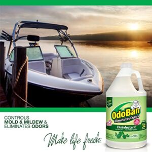 OdoBan Disinfectant Concentrate and Odor Eliminator, 2 Gallons, Original Eucalyptus Scent