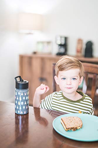 Simple Modern Kids Water Bottle with Straw Lid | Insulated Stainless Steel Reusable Tumbler for Toddlers, Girls, Boys | Summit Collection | 10oz, Rainbow Dream