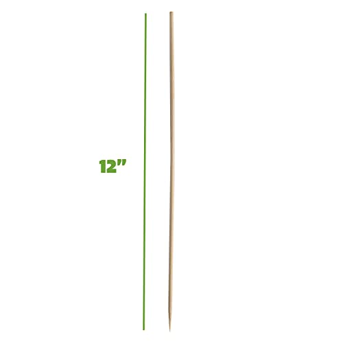 [100 Count] 12" Bamboo Shish Kabob / Kebab Skewer Wood Sticks for BBQs, Appetizers, Corn Dog, & Grilling