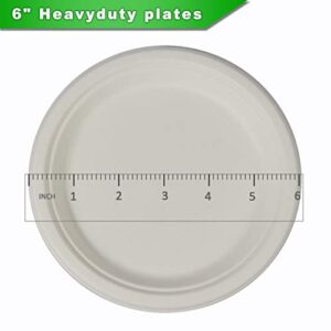 CantaGreen 6 inch Compostable Dessert Plates,100 Count Heavyduty Sugarcane/Bagasse and Bamboo Fibre Biodegradable Disposable Paper Plate