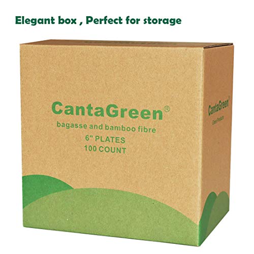 CantaGreen 6 inch Compostable Dessert Plates,100 Count Heavyduty Sugarcane/Bagasse and Bamboo Fibre Biodegradable Disposable Paper Plate