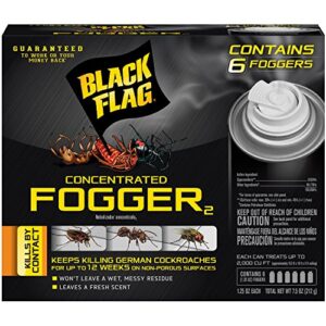 black flag 11079 hg-11079 6 count indoor fogger, pack of 4, clear