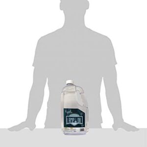 Hyoola Liquid Paraffin Lamp Oil - Clear Smokeless, Odorless, Ultra Clean Burning Fuel for Indoor and Outdoor Use - 1 Gallon