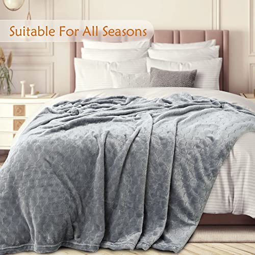 TOONOW Fleece Blanket Super Soft Cozy Throw Blanket 50" x 60", Lightweight Fuzzy Comfy Textured Flannel Blanket Winter Warm Plush Throw Blankets for Couch, Sofa, Bed, Light Grey