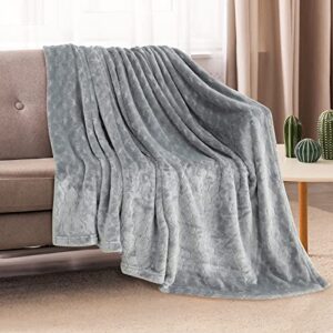 TOONOW Fleece Blanket Super Soft Cozy Throw Blanket 50" x 60", Lightweight Fuzzy Comfy Textured Flannel Blanket Winter Warm Plush Throw Blankets for Couch, Sofa, Bed, Light Grey