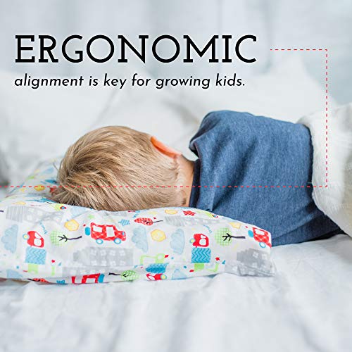 Little Sleepy Head Toddler Pillow 13" x 18" Soft Hypoallergenic - Best Pillow for Kids! Better Neck Support and Sleeping! Better Naps in Bed, a Crib, or at School! Makes Travel Comfier! (Pillow Only)