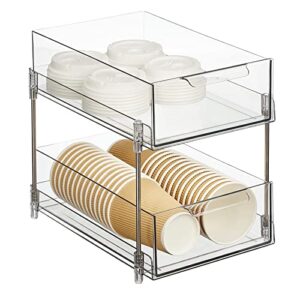 Nate Home by Nate Berkus 2-Tier Sliding Plastic Pull-Out Drawer Organizer, Removable Drawers - Kitchen Cabinet Organizer and Pantry Storage from mDesign, Clear/Polished Stainless Steel