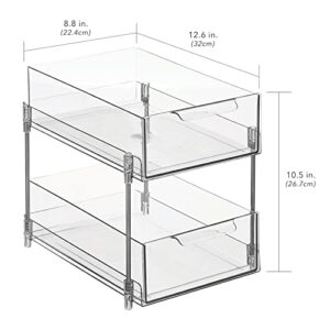 Nate Home by Nate Berkus 2-Tier Sliding Plastic Pull-Out Drawer Organizer, Removable Drawers - Kitchen Cabinet Organizer and Pantry Storage from mDesign, Clear/Polished Stainless Steel
